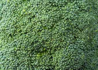  Close-up of broccoli across the screen