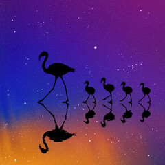 Sticker - Flamingo family on lake at night. Birds silhouettes. Aurora borealis
