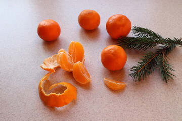  Spruce branch with ripe tangerines on a gray background, side view, close - up-the concept of purchasing traditional fruits for the holiday table