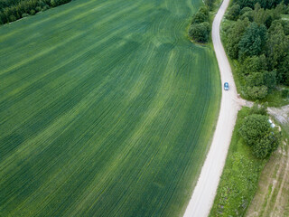 Wall Mural - Abstract field and country patterns on summer