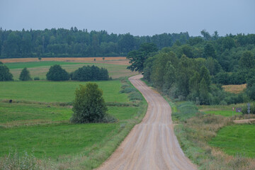 Wall Mural - endless beautiful country gravel road in perspective
