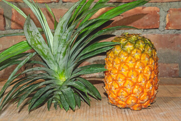  Fresh ripe summer fruit pineapple with green crown and yellow peel.
