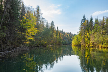 Wall Mural - Autumn forest trees are reflected in the river water of the panoramic landscape. Blue sky with clouds.