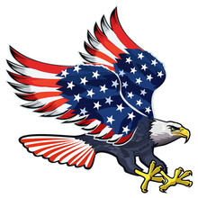 American Eagle With USA Flags