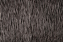 Gray Fur Texture And Background
