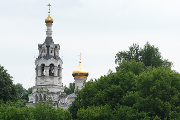 Wall Mural - russia 2020. Church domes behind a tree branch. general plan