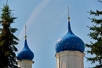 russia 2020. Church domes behind a tree branch. general plan