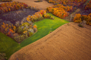 Beautiful aerial photograph of green and golden farm fields in Indiana in Fall with colorful red, yellow and orange autumn foliage or leaves on the forests of trees scattered across the landscape.