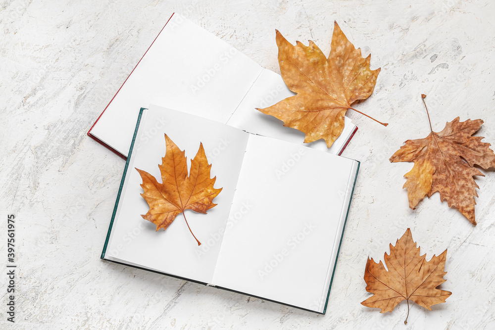 Blank book with autumn leaves on white background