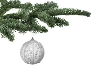 fir tree branch with christmas ball on white background