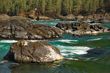 Wall Mural - Russia. mountain Altai. The famous 