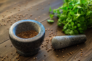 Wall Mural - Cilantro coriander seeds spice with granite mortar.