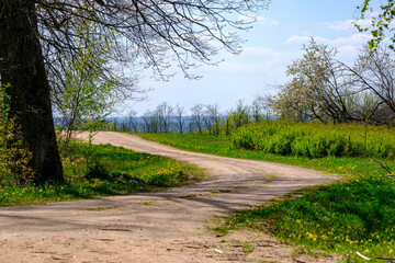 Wall Mural - enmpty forest road with tractor car tire track marks