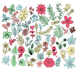 Wall Mural - doodle hand drawn herbs and flowers, floral elements.