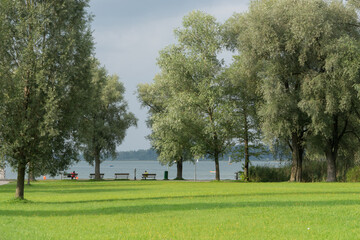 Wall Mural - Benches at the water, in a green park landscape at the Chiemsee in Bernau, Germany