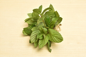 Fresh leaf mint green herbs ingredient