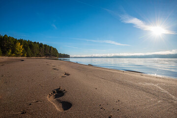 Wall Mural - Bare footprints on the sand by the river, Sunny morning and fog over the water, sun rays.