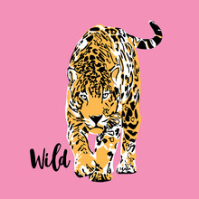 Graceful Leopard On A Pink Background. Wild - Lettering Quote. Elegant Poster, T-shirt Composition, Hand Drawn Style Print. Vector Illustration.