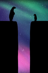 Sticker - polar bears on cracked iceberg at night. animal family silhouette. northern lights