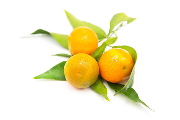 Wall Mural - Ripe fresh organic tangerines on a branch with leaves isolated on white background.	