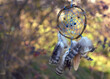 Handmade boho dreamcatcher with feathers hanging on tree among yellow leaves and copy space for text.