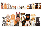 Fototapeta Pokój dzieciecy - large set of border and group of various breeds of dogs