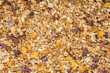 Organic crunchy homemade granola cereal with oats and berries. Oatmeal granola texture. selective focus