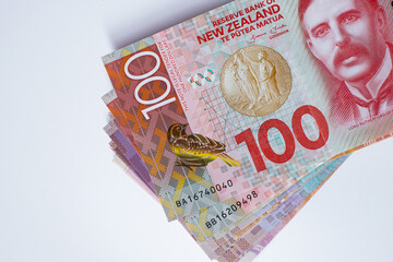 Wall Mural - New Zealand banknotes on white background.