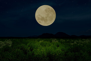 full moon over silhouette forest in the dark night.