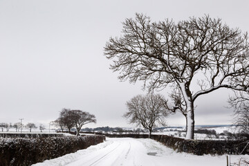 Wall Mural - first snow fall in Auchinleck scotland