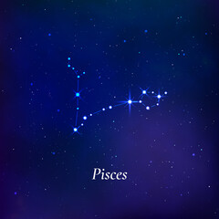 Wall Mural - pisces sign. stars map of zodiac constellation on dark blue background. vector