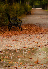 Wall Mural - bench in autumn park