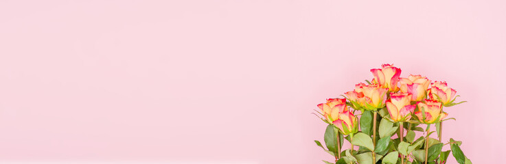 Poster - Rose flowers on a banner background