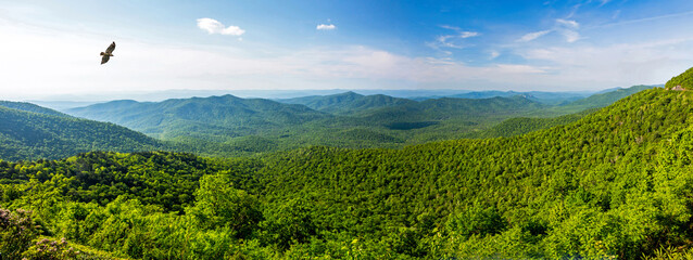 Blue Ridge Mountain Overlook