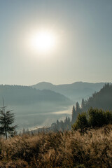  Beautiful sunrise in mountains with white fog below panorama