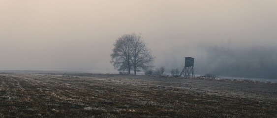 autumn landscape in the fog, field, hunting blind, trees