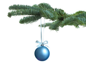 beautiful christmas ball hanging on fir tree branch against white background