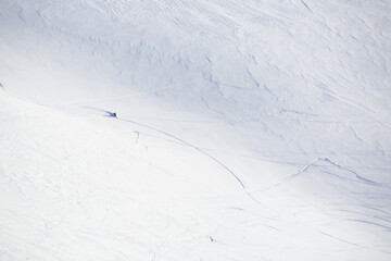 Wall Mural - Freeride skier in mountains