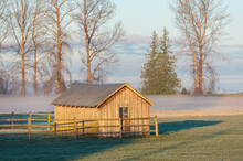 Old Wooden Farm Building At Sunrise. Morning Brings A Slight Fog Layer Behind This Rural Outbuilding In The Skagit Valley Of Western Washington State. 