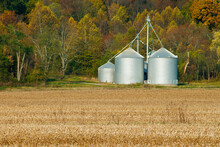 501-12 Grain Cribs In Autimn In Indiana