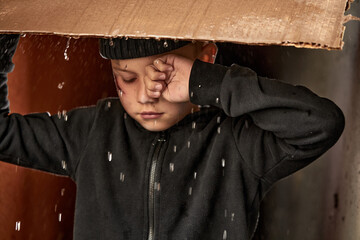 Wall Mural - poor orphan boy shelters from the rain under cardboard, crying. homeless children concept