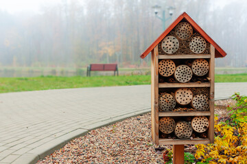 Wooden insect house.