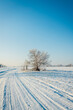 © maxandrew - Snow covered winter field with trees and road going through to the horizon. Winter landscape. Beautiful winter nature.