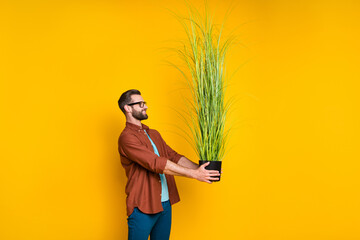 Sticker - Photo portrait of millennial man keeping pot with green houseplant wearing casual clothes isolated on vivid yellow color background