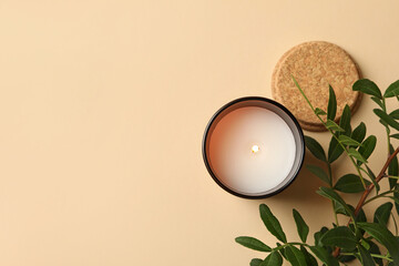 Scented candle and plant branch on beige background