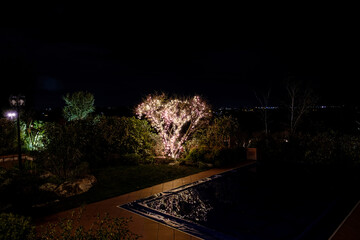 December 2020: exterior view of Christmas tree in the night