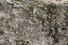 Natural Boulder Covered With Gray Lichen And Green Moss. Stone Granite Texture.