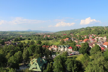 Wall Mural - View of the surroundings from Bran Castle