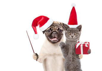 Aufkleber - Funny puppy and kitten wearing red christmas hats with gift box and pointing stick. isolated on white background