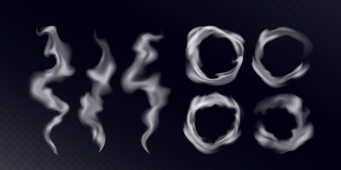 Poster - Vector Round Smoke Ring. Abstract Realistic Circle Smoke Texture. Template Transparent Cloud Swirl Shape.